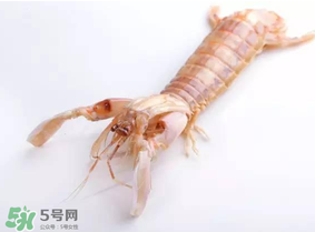 皮皮蝦什么時候有籽？皮皮蝦幾月份有籽？