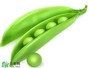 荷蘭豆能生吃嗎？荷蘭豆生的可以吃嗎？