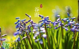 谷雨養(yǎng)生吃什么？谷雨養(yǎng)生常識