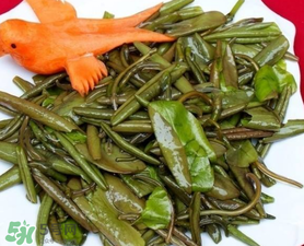 莼菜是什么菜？莼菜是荷葉嗎？