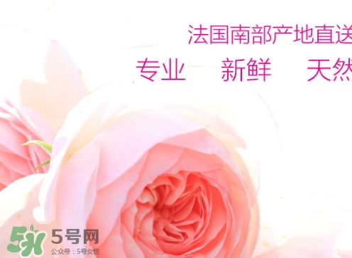 rossi rossa面膜怎么樣？rossi rossa珞珞莊園面膜好不好？