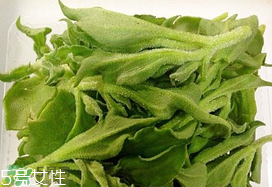 ?冰菜多少錢一斤？? 今年冰菜多少錢一斤？