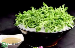 冰菜什么人不適宜吃？冰菜什么體質(zhì)不能吃？