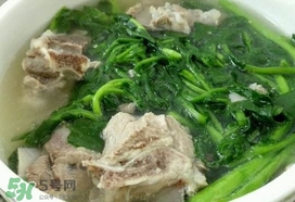 西洋菜是什么菜？西洋菜是什么樣的