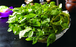 西洋菜怎么摘洗？西洋菜怎么洗才干凈