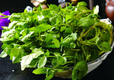 西洋菜怎么摘洗？西洋菜怎么洗才干凈