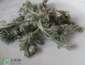 白蒿能治黃疸嗎？白蒿水可以治黃疸嗎？