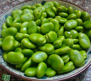 蠶豆多少錢一斤？蠶豆多少錢一斤2017？