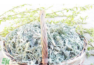 白蒿要焯水嗎？白蒿要不要焯水？