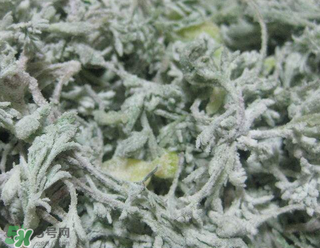 白蒿不能和什么一起吃？白蒿不能與什么同食？