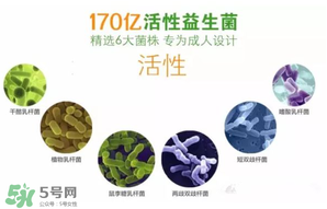 益生菌哪個(gè)牌子好？哪個(gè)牌子的益生菌好？