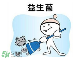 益生菌哪個(gè)牌子好？哪個(gè)牌子的益生菌好？