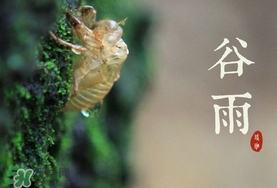 谷雨養(yǎng)生吃什么？谷雨養(yǎng)生常識