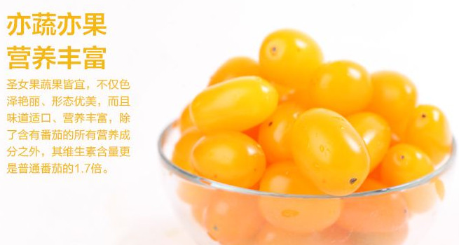 圣女果能減肥嗎？圣女果可以減肥嗎