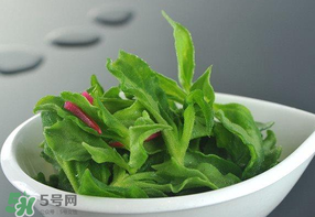 冰草可以放冰箱嗎？冰草能用冰塊保存嗎？