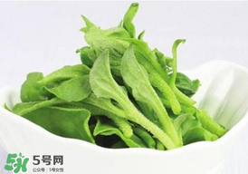 冰草多少錢一斤？非洲冰草多少錢一斤？