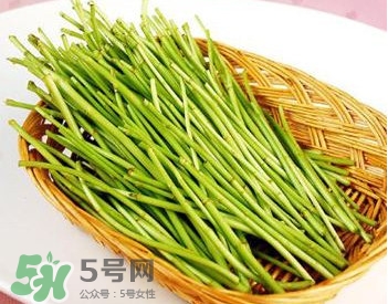 蘆蒿與茼蒿有什么區(qū)別？蘆蒿和茼蒿的區(qū)別