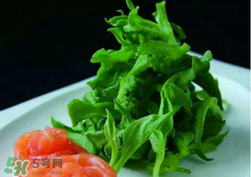 冰草怎么清洗？非洲冰草怎么清洗？