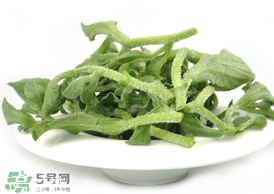 ?冰草為什么會酸？冰草為什么是酸的？