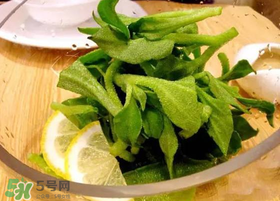 冰草用什么醬？冰草用什么醬好吃？