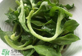 冰菜為什么會(huì)酸？冰菜為什么是咸的？