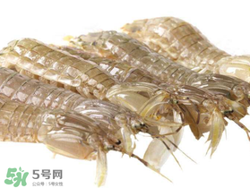 蝦爬子什么季節(jié)最肥？蝦爬子幾月份最肥？