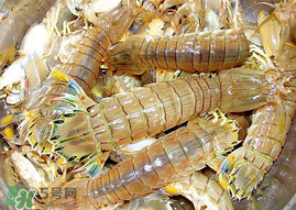 蝦爬子能冷凍嗎？蝦爬子可以冷藏嗎？