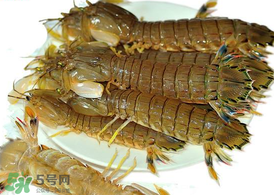 蝦爬子能冷凍嗎？蝦爬子可以冷藏嗎？