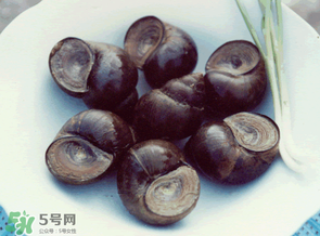 田螺不能和什么一起吃？田螺和什么不能一起吃？