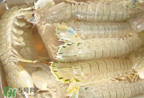 蝦爬子綠色怎么回事？蝦爬子變黑還能吃嗎？