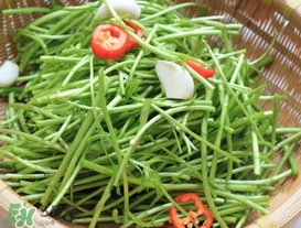泥蒿怎么做好吃？泥蒿做法