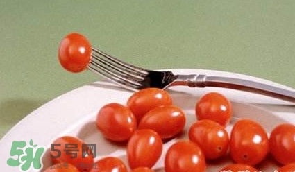 圣女果是什么？圣女果是西紅柿嗎