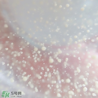 資生堂悅薇和怡麗絲爾哪個(gè)好？資生堂悅薇和怡麗絲爾對(duì)比