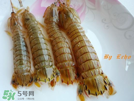 蝦爬子能放多久？蝦爬子怎么保存時(shí)間長？