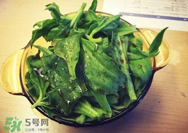 吃冰菜有什么好處？冰菜吃了有什么好處？