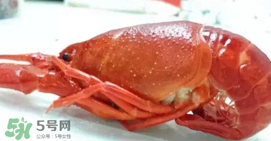 蝦子哪些部位不能吃？蝦子哪些地方不能吃