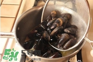 青口貝如何清洗？青口貝怎么處理