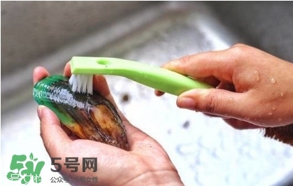 青口貝如何清洗？青口貝怎么處理