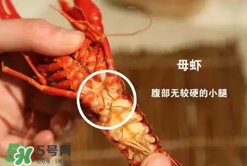 蝦子怎么吃？蝦子的吃法