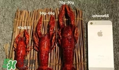 蝦子怎么吃？蝦子的吃法