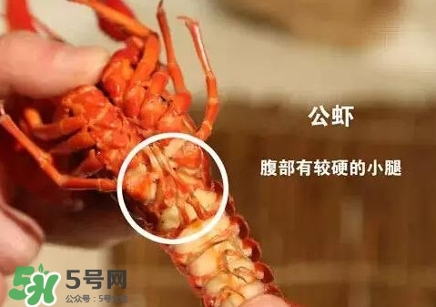 蝦子怎么吃？蝦子的吃法