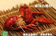 蝦子怎么吃？蝦子的吃法
