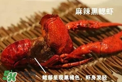 蝦子怎么吃？蝦子的吃法