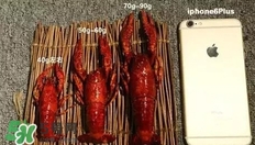 蝦子怎么吃？蝦子的吃法