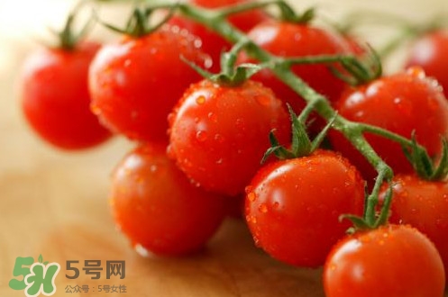 小番茄怎么洗？小番茄怎么清洗