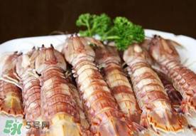 蝦爬子是寒性的嗎？蝦爬子是熱性的還是寒性的？