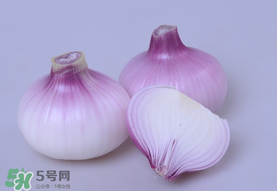 洋蔥和皮皮蝦能一起吃嗎？皮皮蝦和洋蔥可以同吃嗎？
