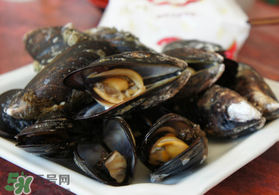 淡菜什么時(shí)候最肥？淡菜什么時(shí)候吃最好？