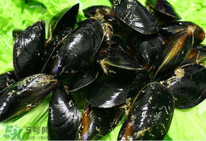 哪些人不適合吃淡菜？淡菜什么人不能吃？