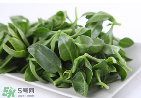 冰菜和穿心蓮是同一種菜嗎？冰菜和穿心蓮是一科嗎？